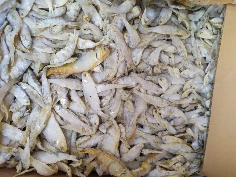 ikan asin sampah bulu ayam